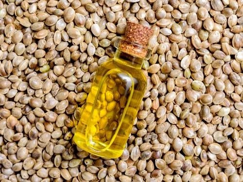 دانههای شاهدانه؛ یک تحول اساسی به عنوان منبع پروتئین جایگزین