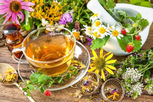 داروهای گیاهی زیر ذره بین نگرانی ها