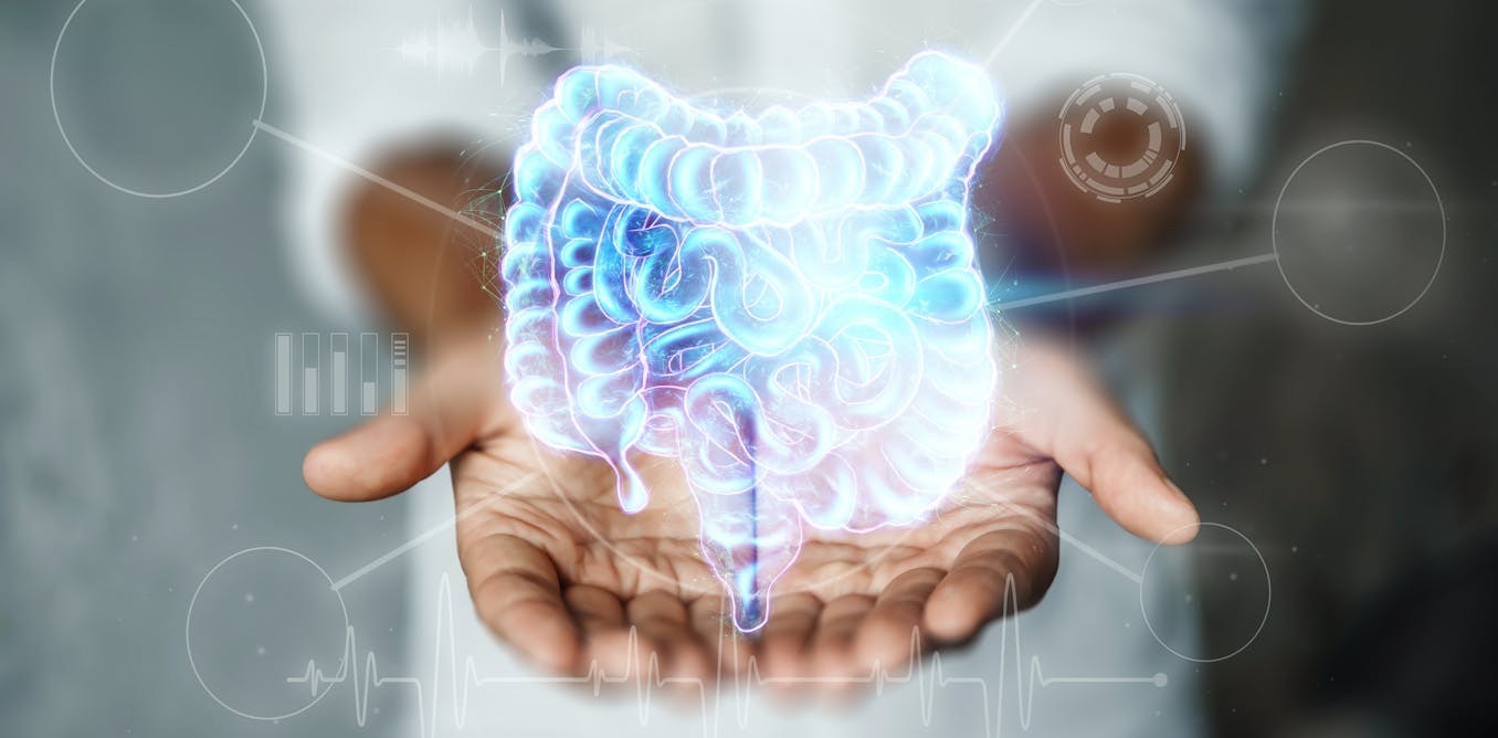 تعادل روده، تقویت ایمنی و کاهش پیری