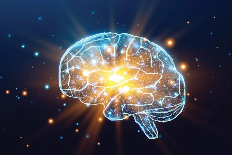 تقلید از ورزش در مغز، امیدی برای مقابله با زوال شناختی