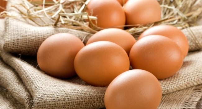 تخممرغ، سپری در برابر آلزایمر؛ یافته جدید پژوهشگران