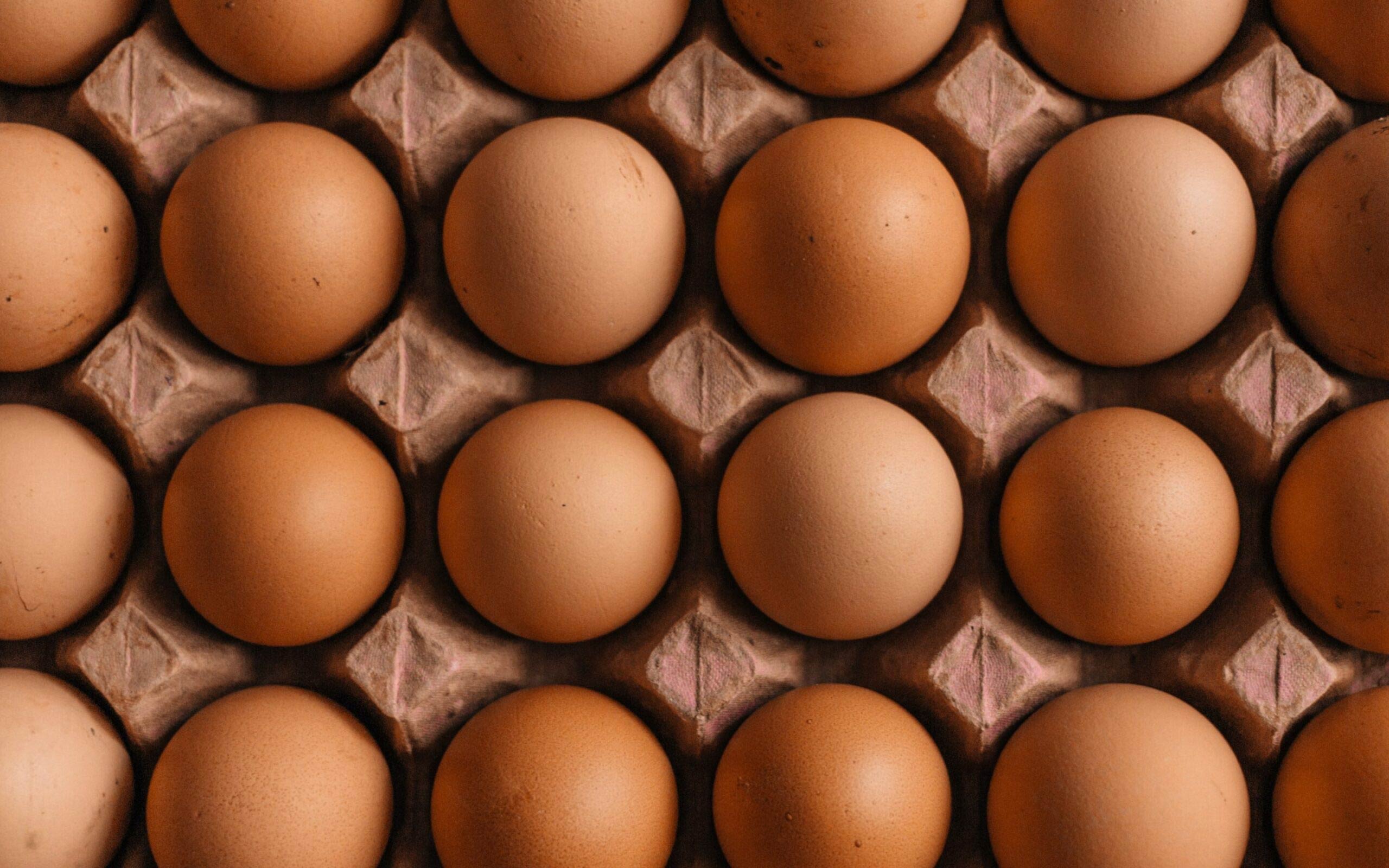 ۳. تخممرغ