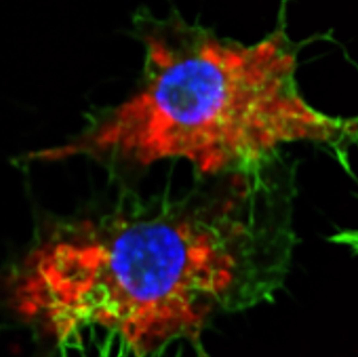 پیشرفت بزرگی با وعده بالینی