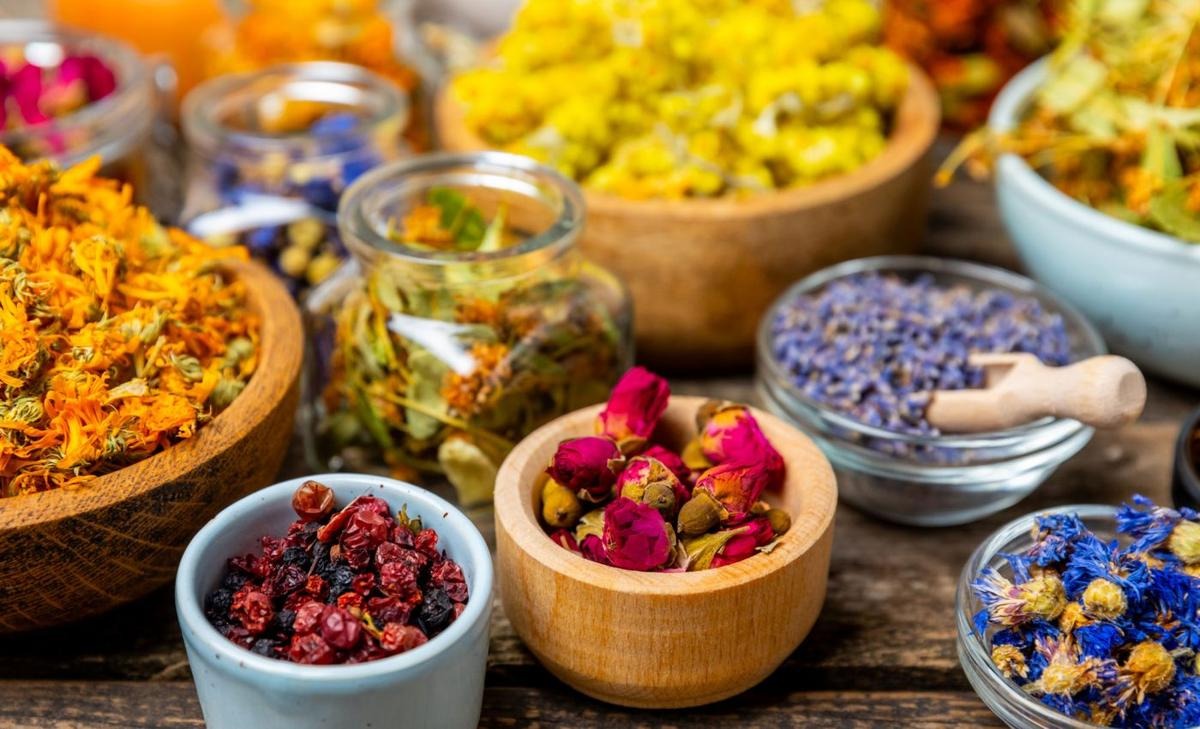 داروهای گیاهی زیر ذره بین نگرانی ها داروهای گیاهی زیر ذره بین نگرانی ها