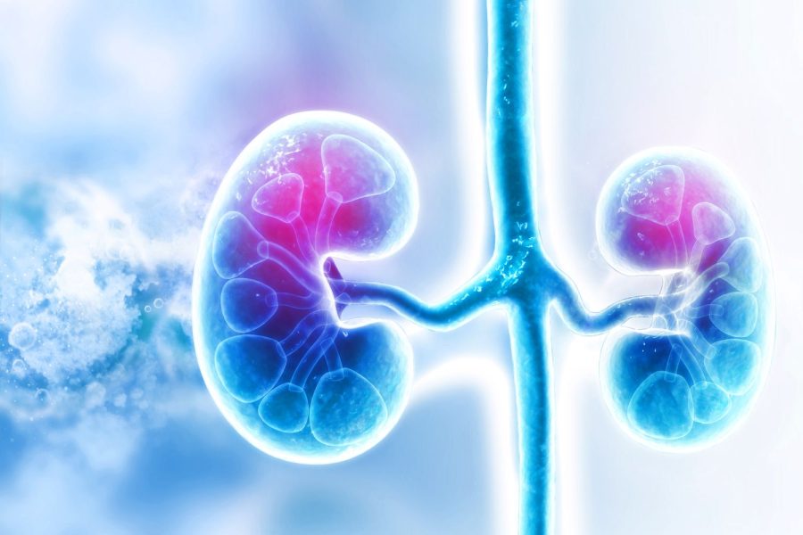 نتایج پژوهش جدید: آغاز پارکینسون لزوماً از مغز نیست