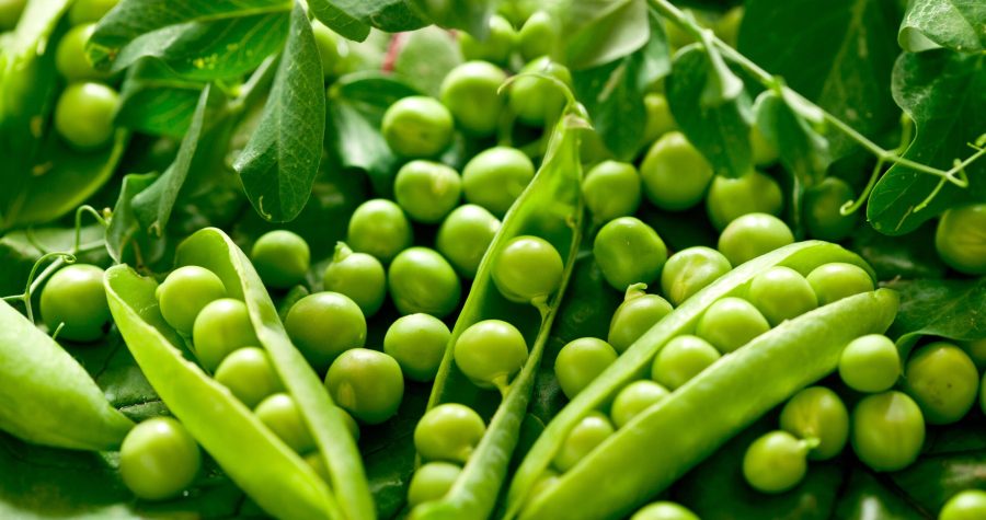 این سبزی سبز ساده، پروتئین و فیبر قدرتمند را به شما میدهد
