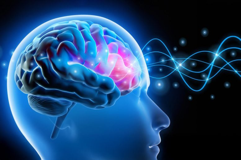 نبض مخفی مغز می‌تواند زوال عقل را پیش‌بینی کند