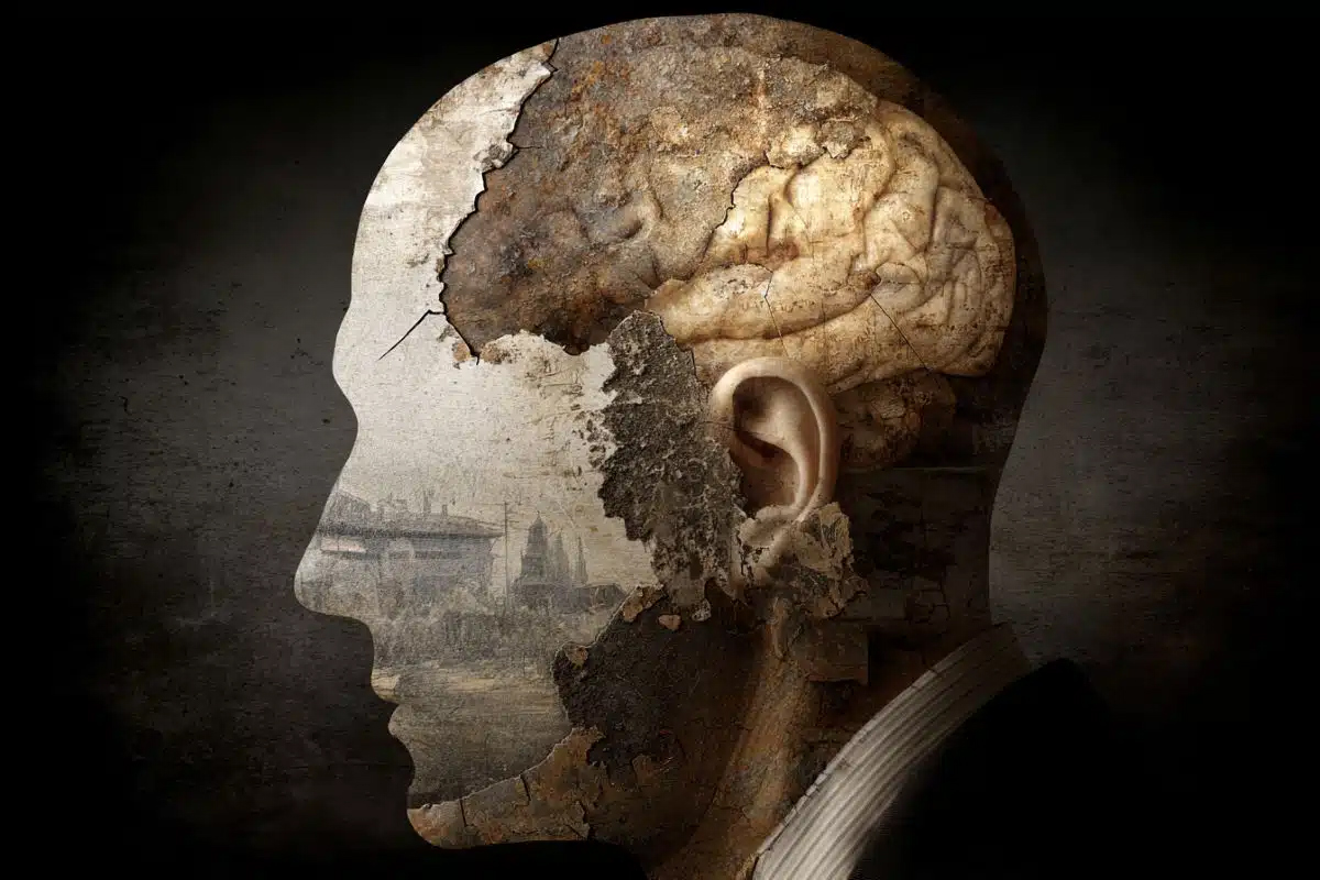 چرا خاطرات دگرگون می‌شوند؛ بازنویسی گذشته در مغز