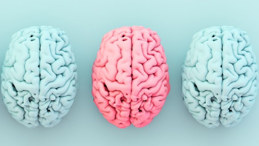 ارتباط شگفت‌انگیز بین یک ماده مغذی، چاقی و آلزایمر